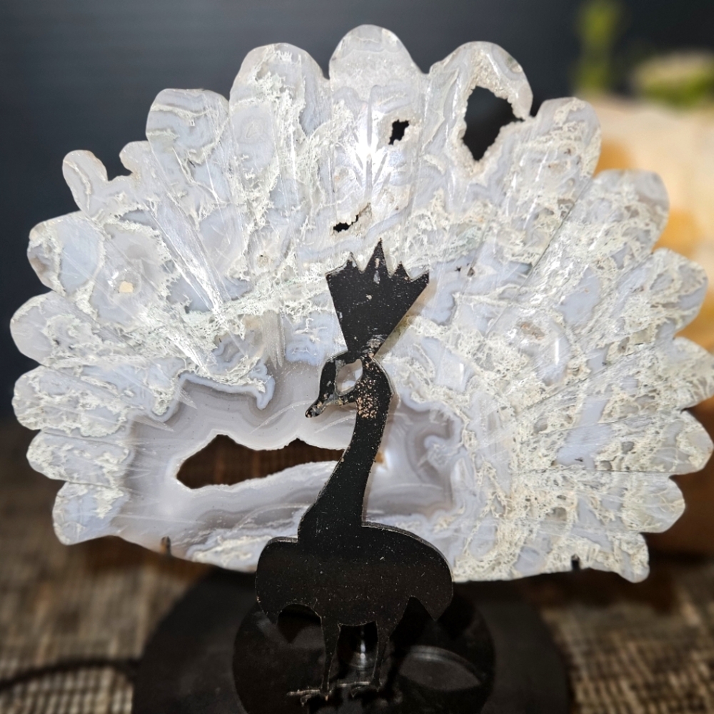 Majestic Moss Agate Peacock
